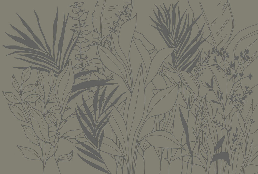 Dessin de plantes et de feuilles Dessin de plantes et de feuilles