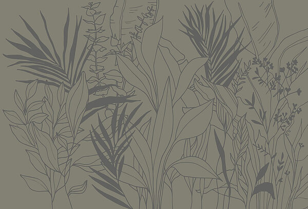 Dessin de plantes et de feuilles Dessin de plantes et de feuilles