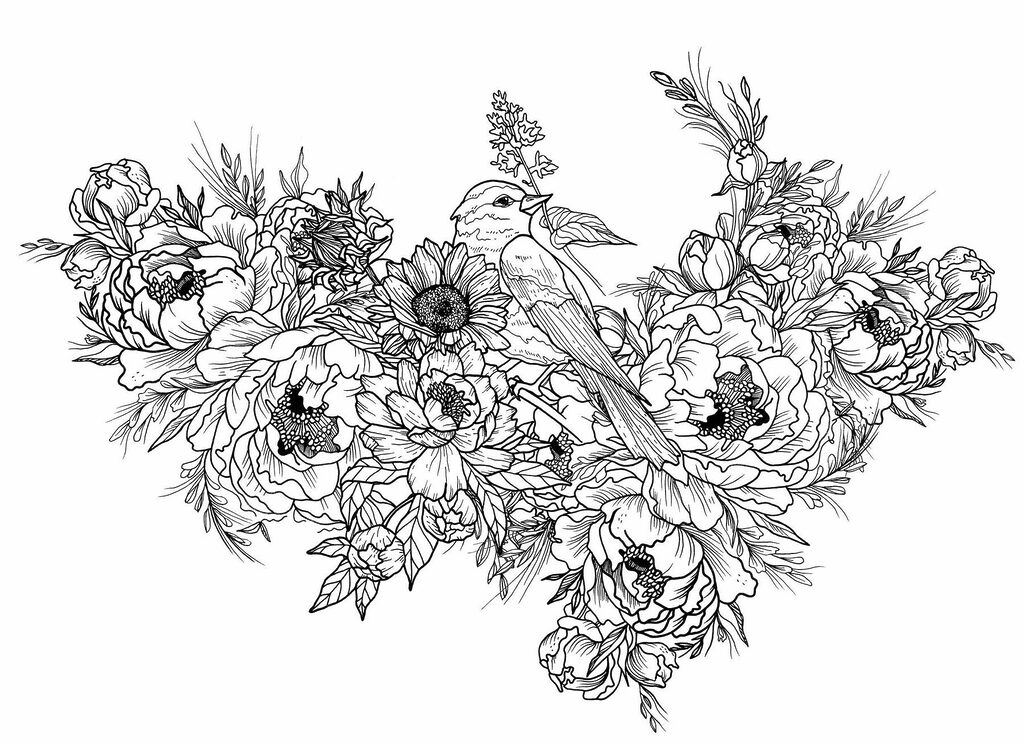 Oiseau sur une fleur Oiseau sur une fleur