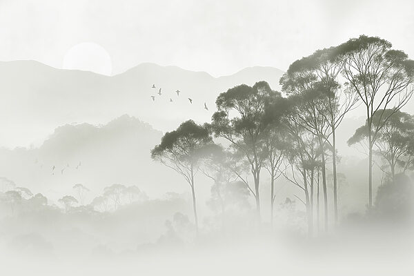 Oiseaux volant au-dessus des arbres Oiseaux volant au-dessus des arbres