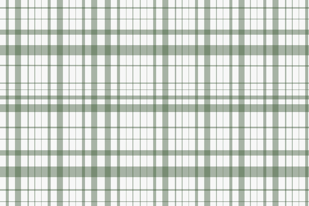 Écossais vert et blanc Écossais vert et blanc