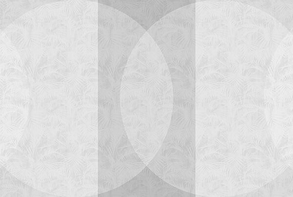Fond blanc et gris Fond blanc et gris