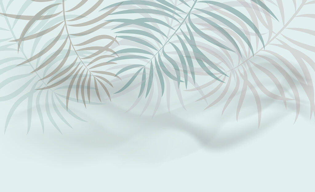 Des feuilles douces dans une douce étreinte Des feuilles douces dans une douce étreinte