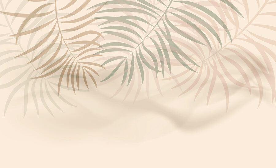 Feuilles de palmier aux teintes douces