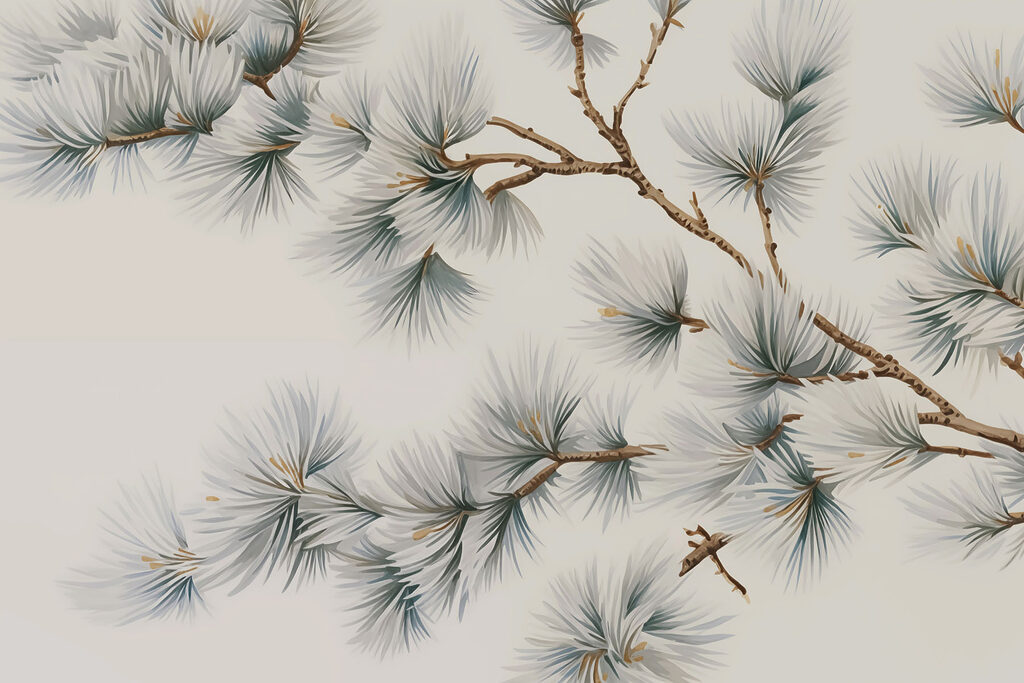 Exposition de délicates branches de pin Exposition de délicates branches de pin