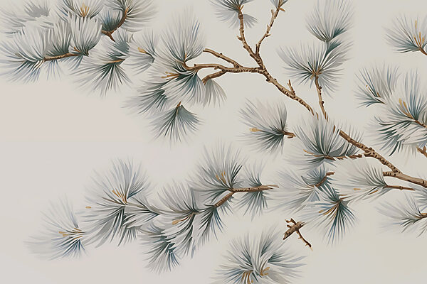 Exposition de délicates branches de pin Exposition de délicates branches de pin