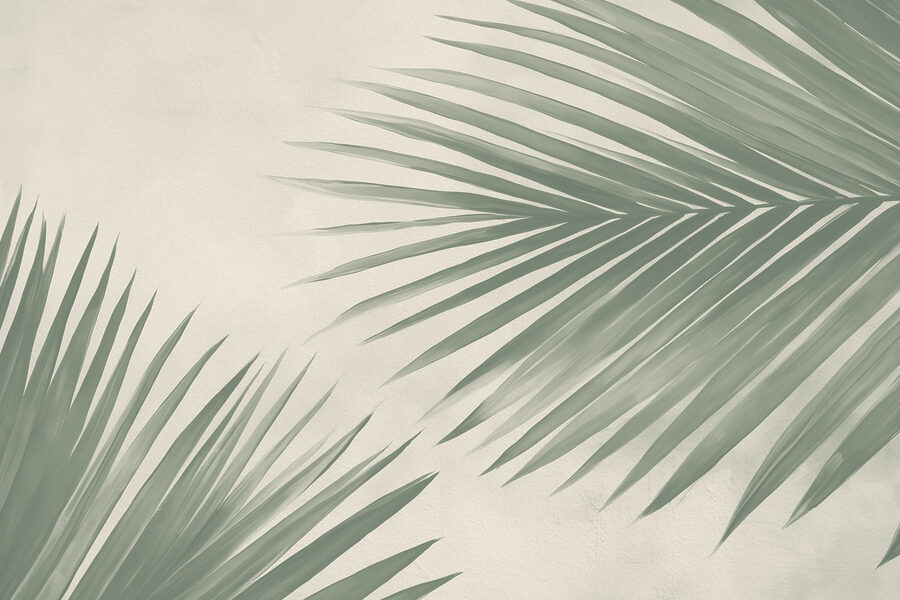 Feuilles de palmier vertes et fraîches, une touche de nature