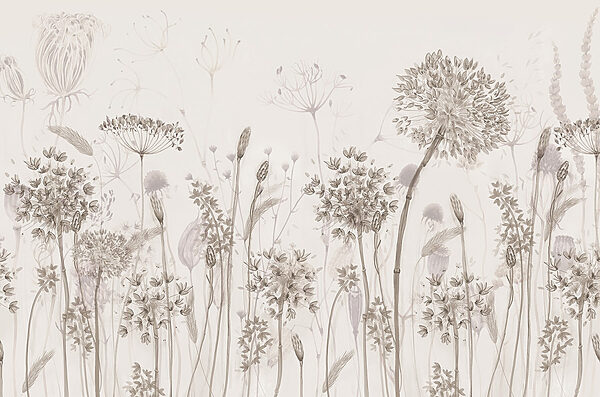 Dessin de fleurs et de plantes Dessin de fleurs et de plantes