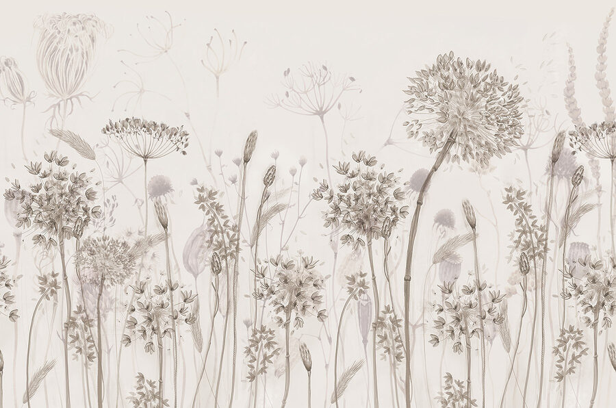 Dessin de fleurs et de plantes Dessin de fleurs et de plantes