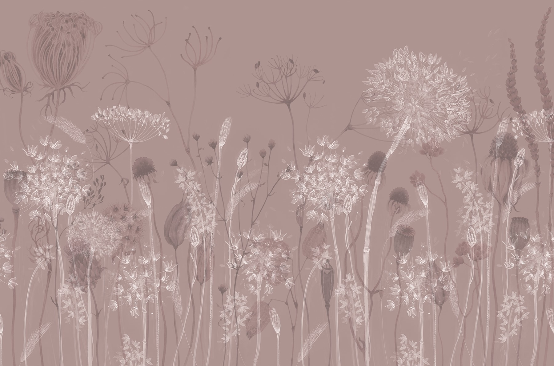 Soft flowers on a muted background