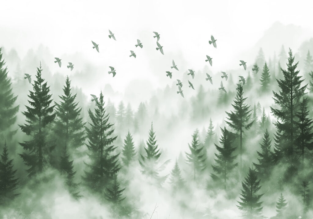 Oiseaux volant au-dessus d'une forêt Oiseaux volant au-dessus d'une forêt