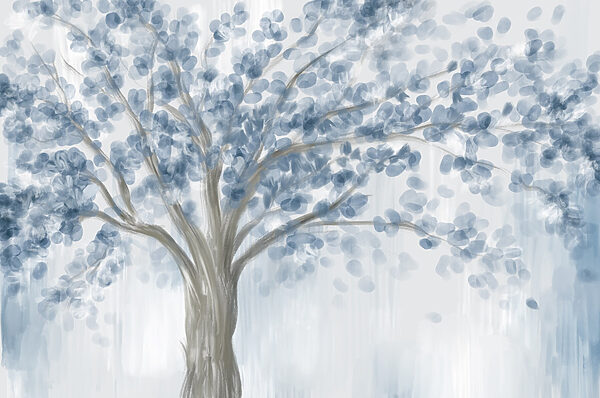 Arbre aux feuilles bleues Arbre aux feuilles bleues