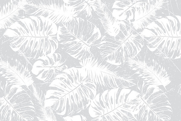 Feuilles blanches sur fond gris Feuilles blanches sur fond gris