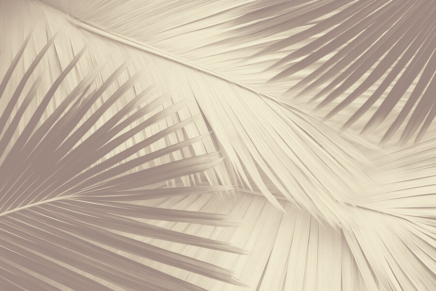 Texture de la nature dans des tons doux.