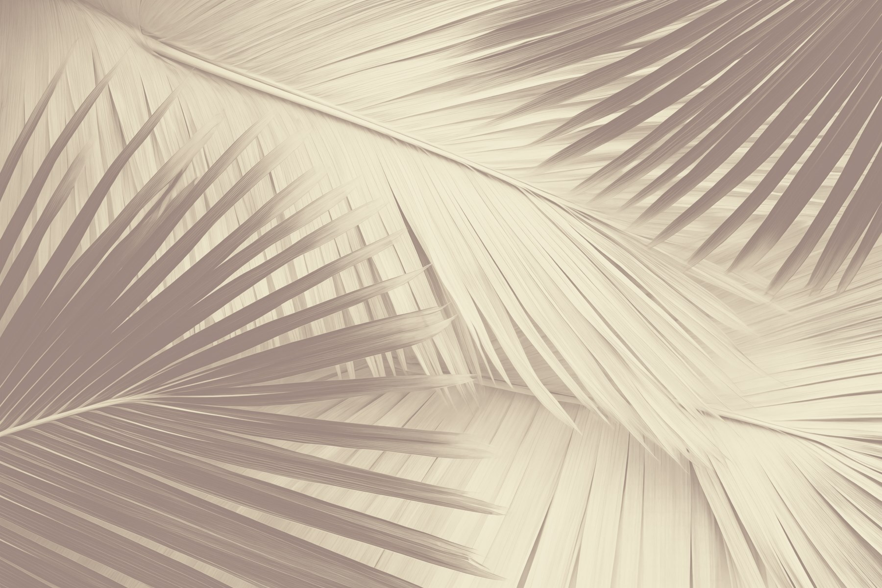 Nature's texture in soft tones Nature's texture in soft tones