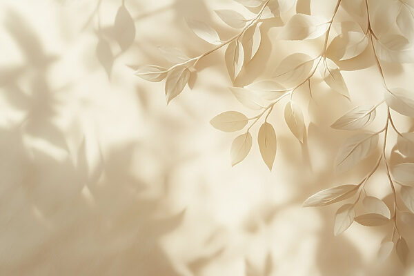 Feuilles blanches sur une surface blanche Feuilles blanches sur une surface blanche