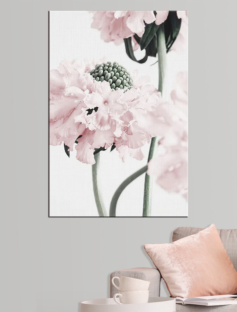 Delicate petals in soft hues