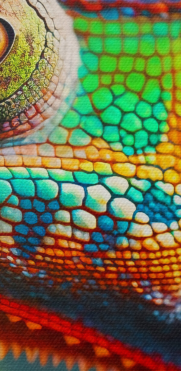 Lézard coloré sur une feuille Lézard coloré sur une feuille