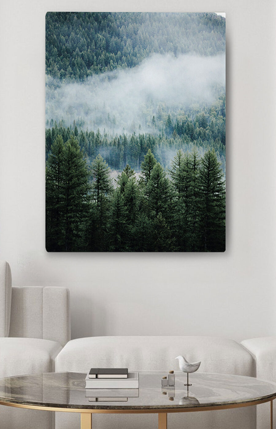 Forêt avec brouillard et nuages