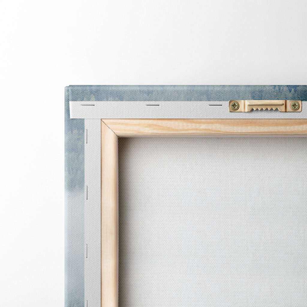 Forest with fog and clouds