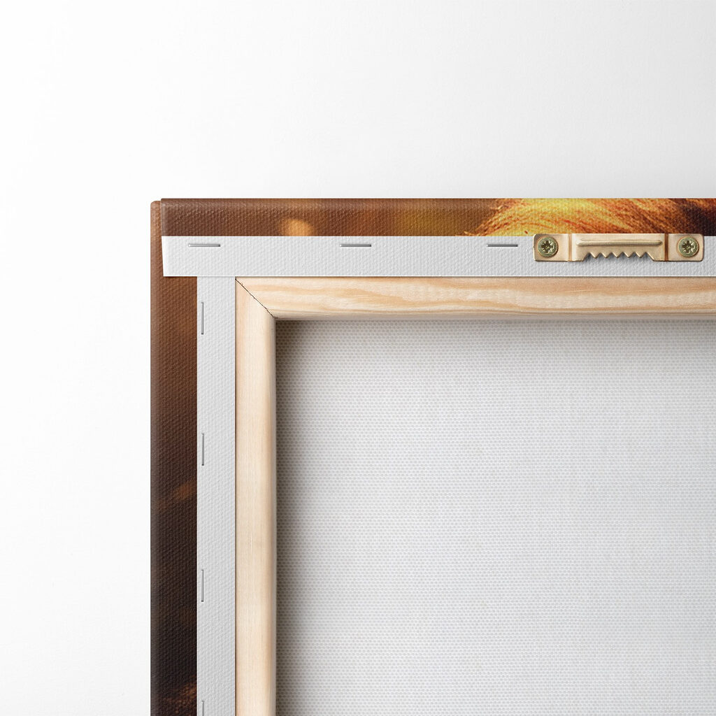 Lion with a very long mane