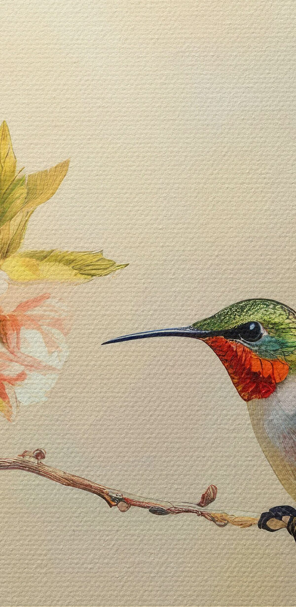 Groupe de colibris sur une branche avec des fleurs Groupe de colibris sur une branche avec des fleurs