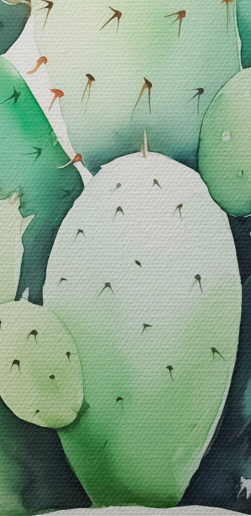 Watercolor of a cactus