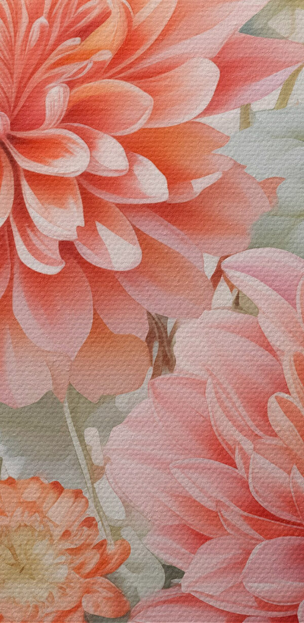 De belles fleurs aux couleurs douces. De belles fleurs aux couleurs douces.