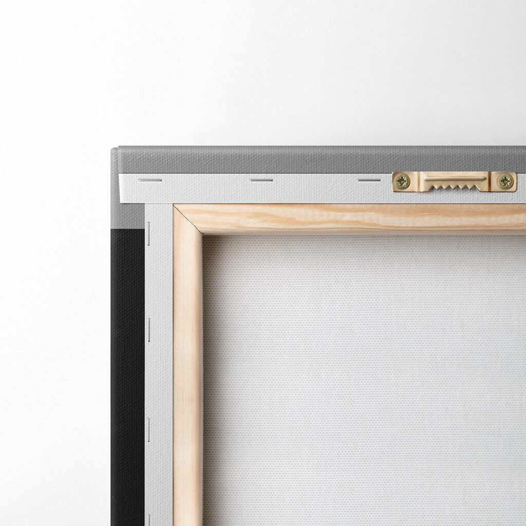 Cat wearing a green hat