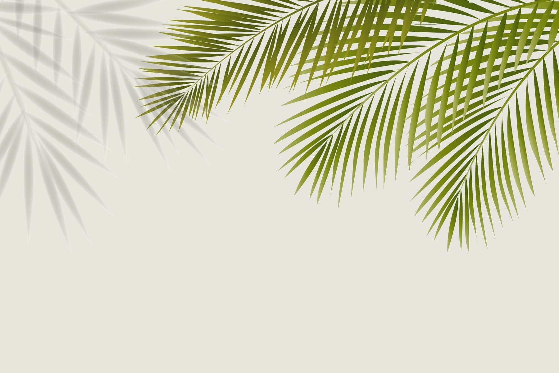 Green leaves on a white background Green leaves on a white background