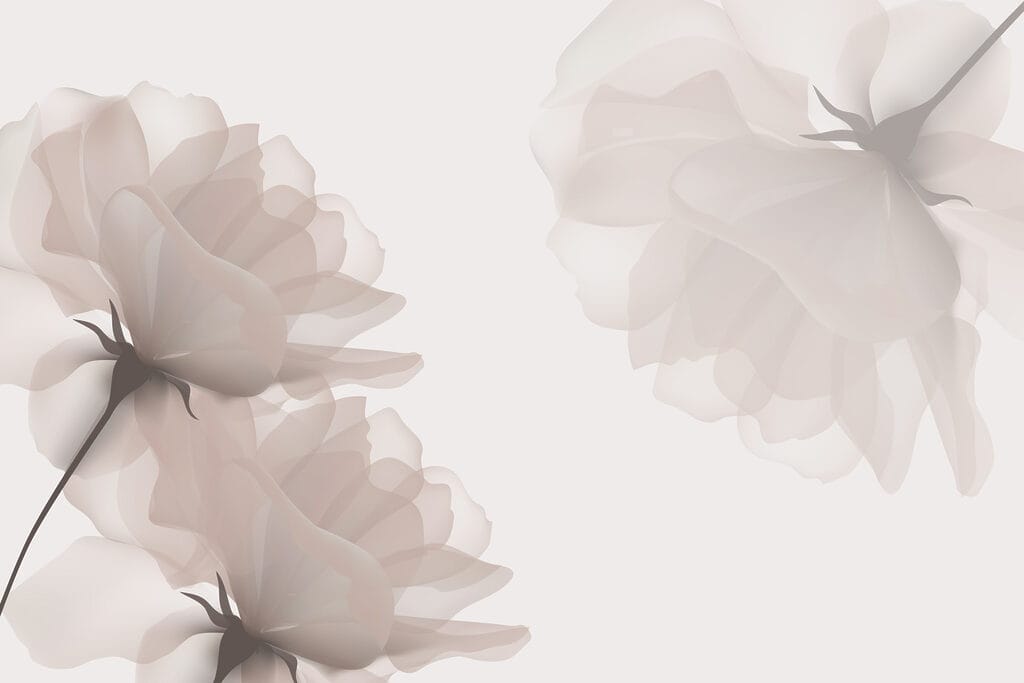 Groupe de fleurs sur fond blanc Groupe de fleurs sur fond blanc