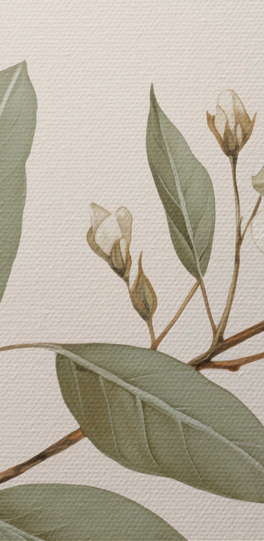 Fleurs et feuilles blanches sur une branche