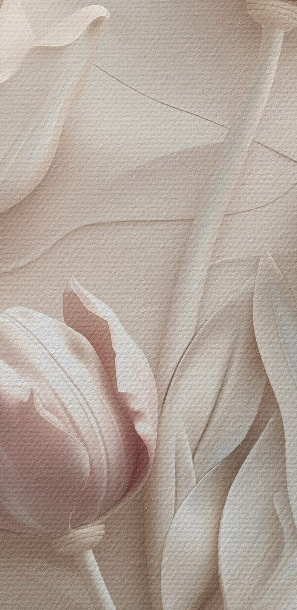 Groupe de fleurs blanches Groupe de fleurs blanches