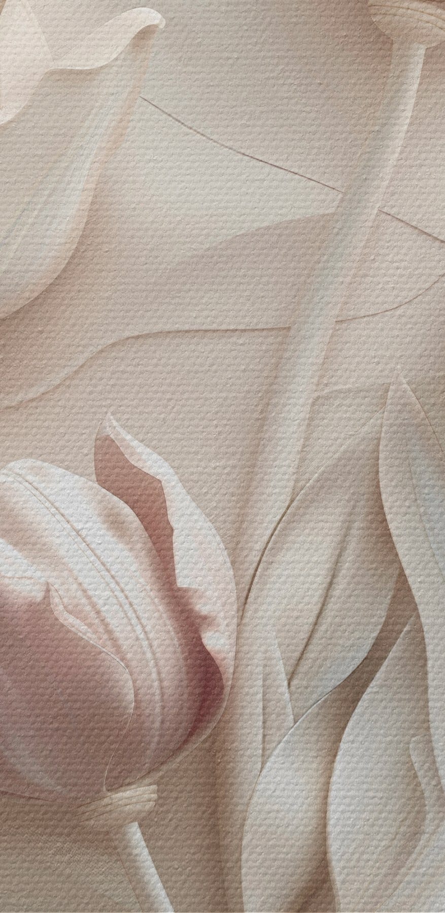 Groupe de fleurs blanches