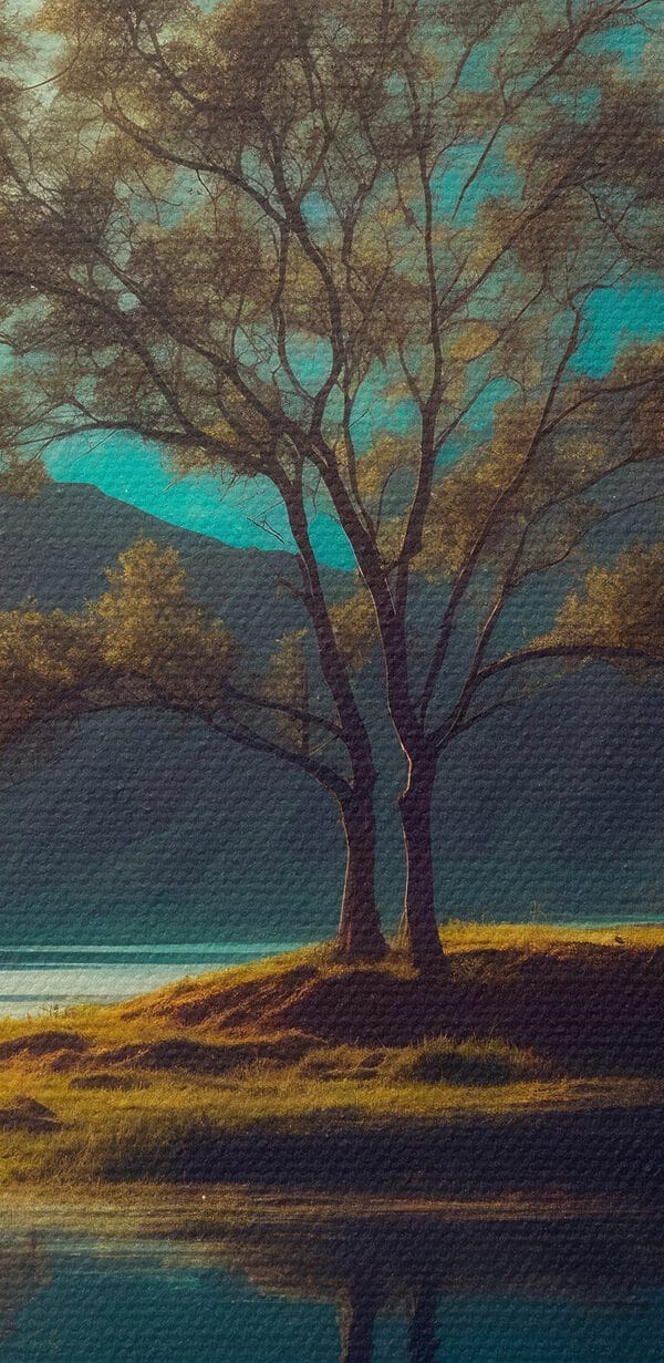 Arbre sur l'eau Arbre sur l'eau