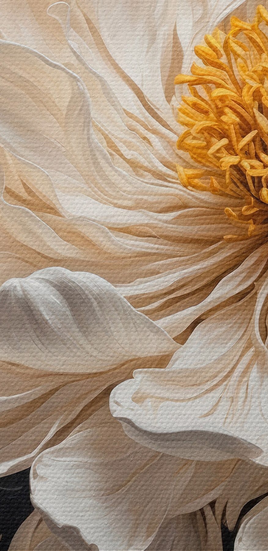 Fleur blanche avec centre jaune Fleur blanche avec centre jaune