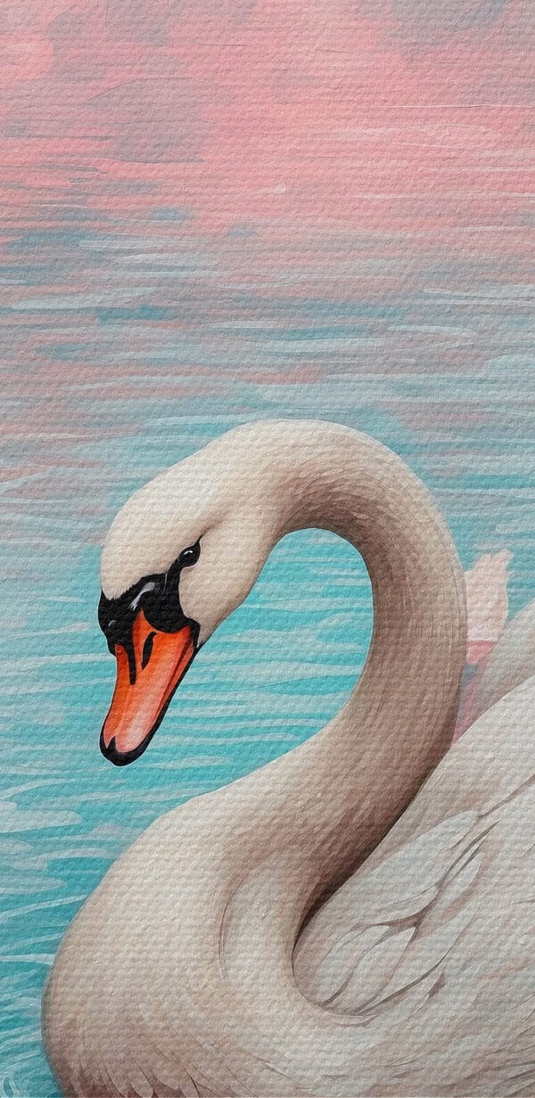 Cygne nageant dans l'eau avec des fleurs roses Cygne nageant dans l'eau avec des fleurs roses