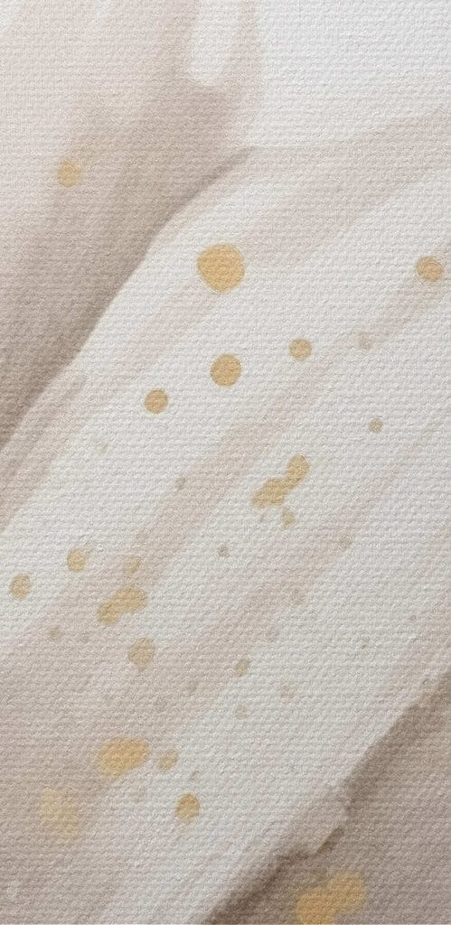 Floral elegance in soft tones Floral elegance in soft tones