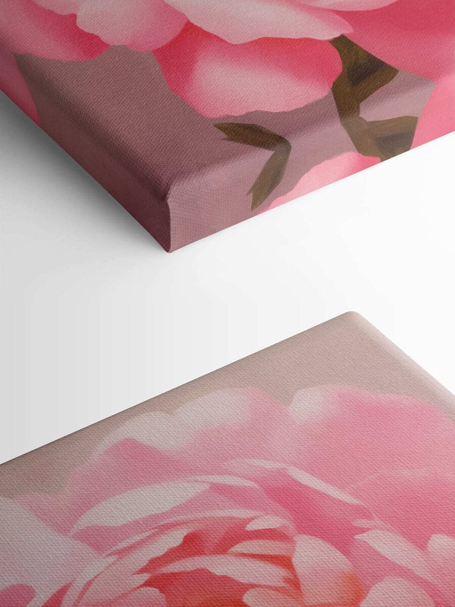 Pétales délicats dans des tons roses doux