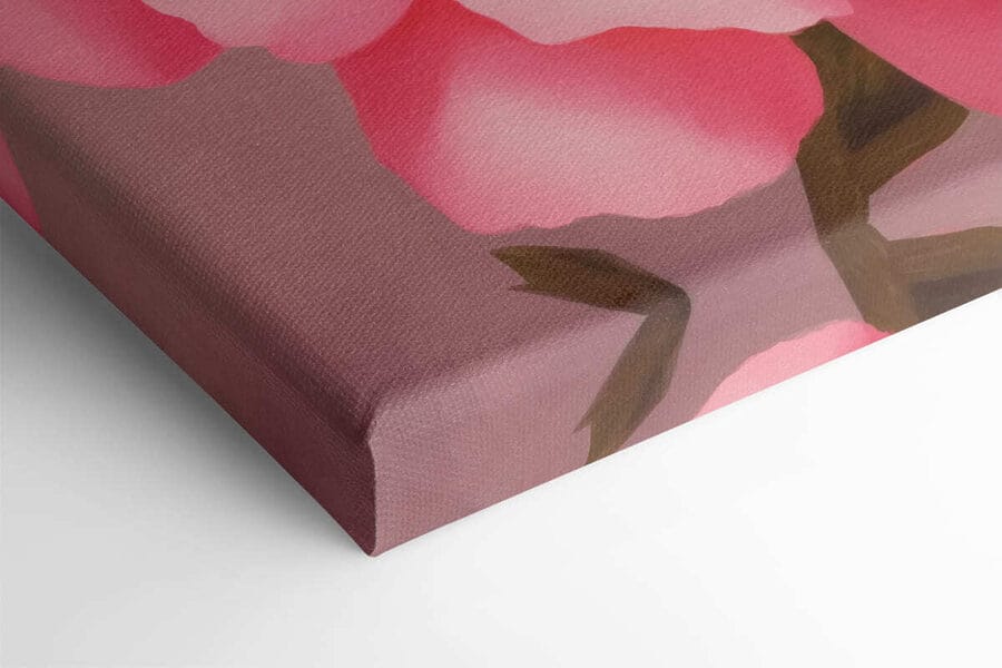 Pétales délicats dans des tons roses doux