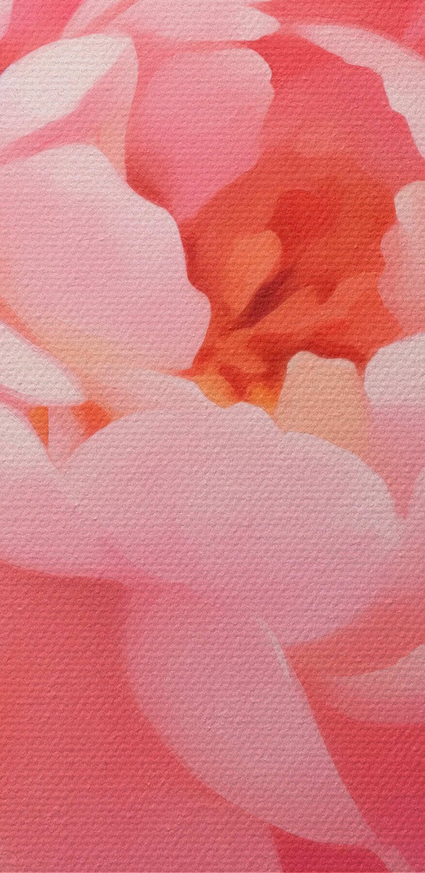 Pétales délicats dans des tons roses doux