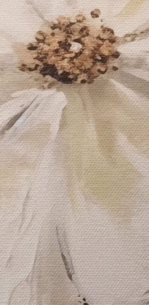 White flower with brown center