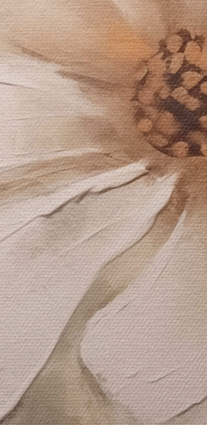 Peinture d'une fleur blanche