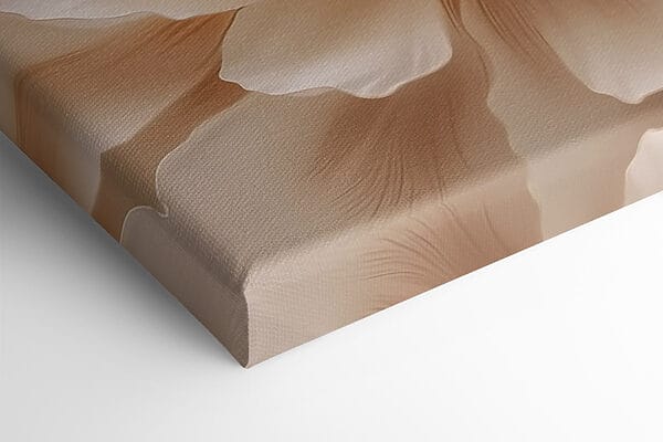 Delicate petals in soft hues Delicate petals in soft hues