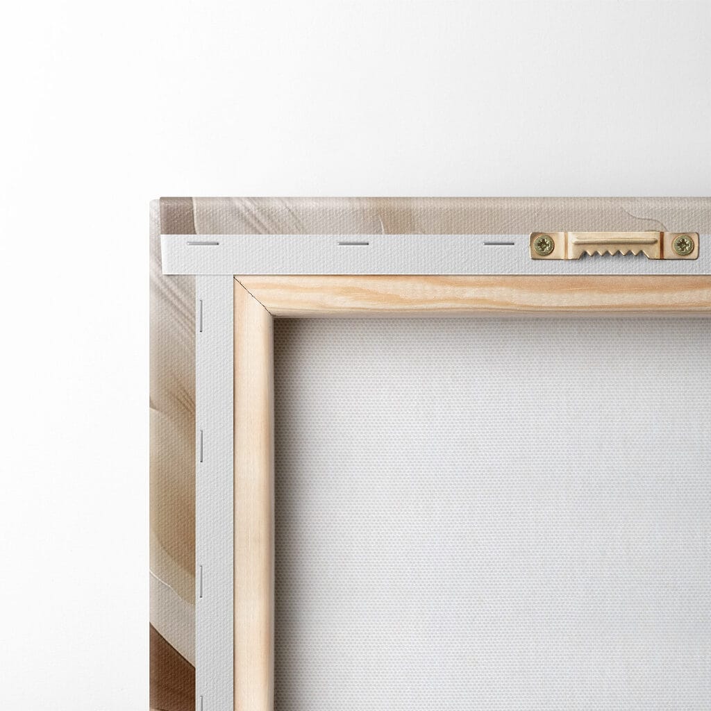 Delicate petals in soft hues Delicate petals in soft hues