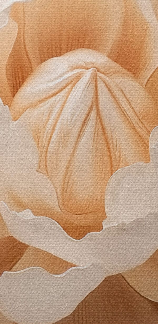 Delicate petals in soft hues Delicate petals in soft hues