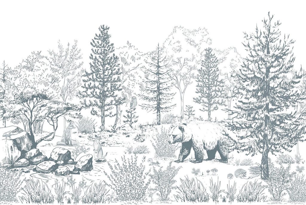Ours dans les bois Ours dans les bois
