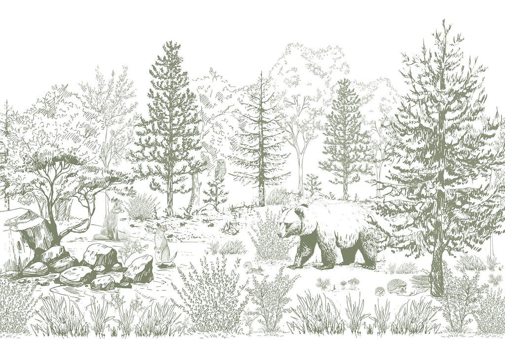Dessin d'un ours dans une forêt Dessin d'un ours dans une forêt