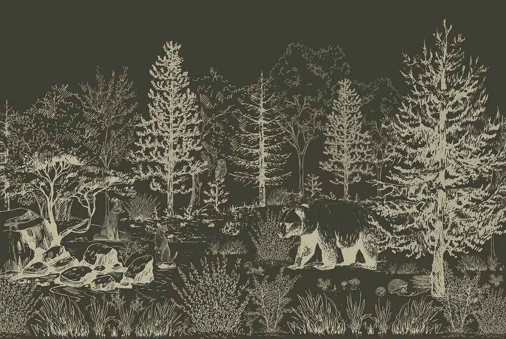 Bear walking in the woods