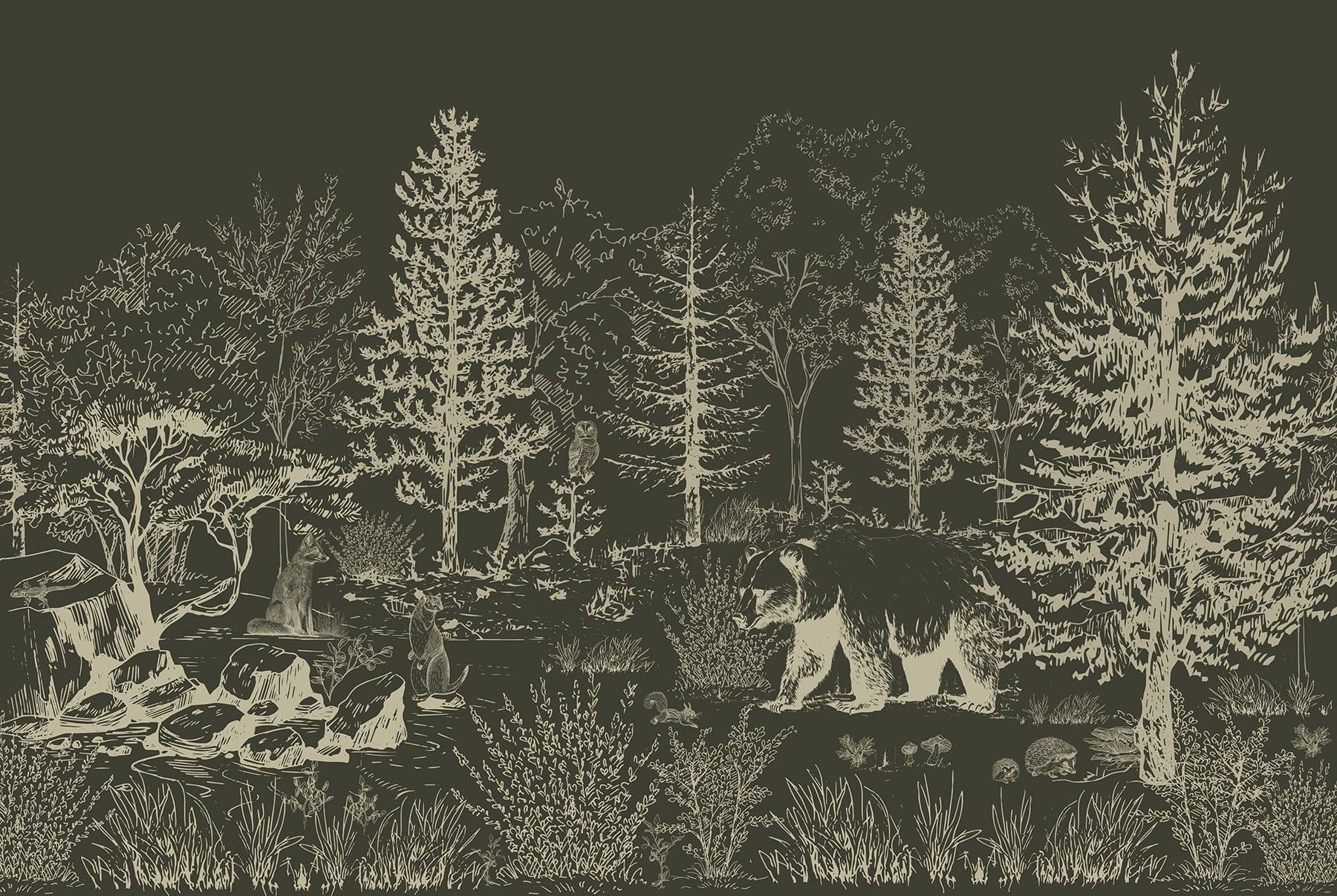 Bear walking in the woods